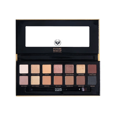 پالت سایه فیوچر میکاپ (FU2301)
